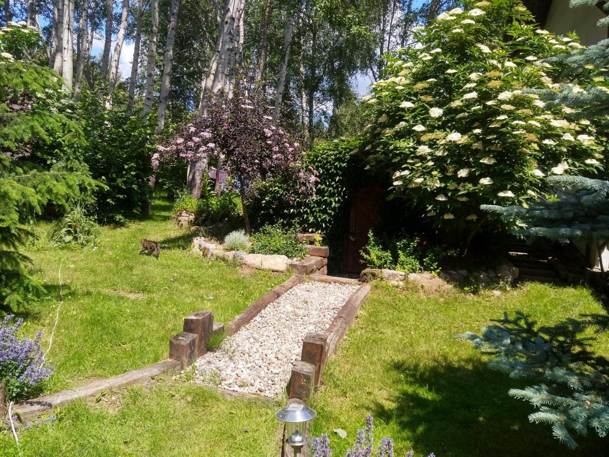 Villa Lesna Polana Stare Jabłonki Exterior foto