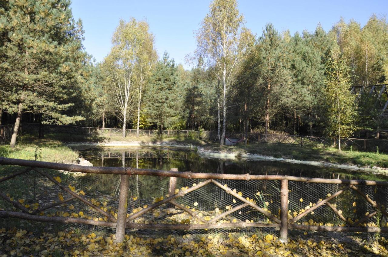 Villa Lesna Polana Stare Jabłonki Exterior foto